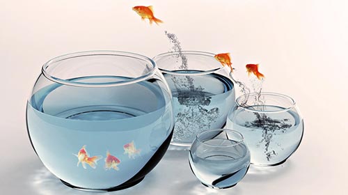 創(chuàng)意短視頻如何解決消費(fèi)者的獨(dú)有價(jià)值利益